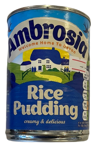 Ambrosia rice pudding